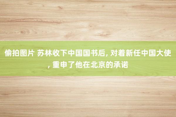 偷拍图片 苏林收下中国国书后， 对着新任中国大使， 重申了他在北京的承诺