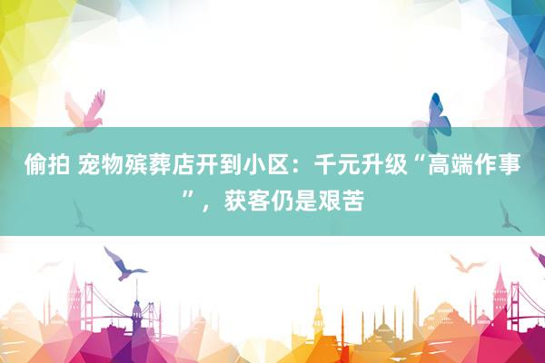 偷拍 宠物殡葬店开到小区：千元升级“高端作事”，获客仍是艰苦