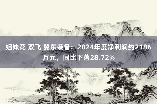 姐妹花 双飞 冀东装备：2024年度净利润约2186万元，同比下落28.72%