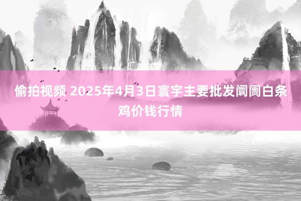偷拍视频 2025年4月3日寰宇主要批发阛阓白条鸡价钱行情