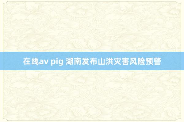 在线av pig 湖南发布山洪灾害风险预警