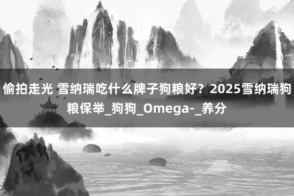 偷拍走光 雪纳瑞吃什么牌子狗粮好？2025雪纳瑞狗粮保举_狗狗_Omega-_养分