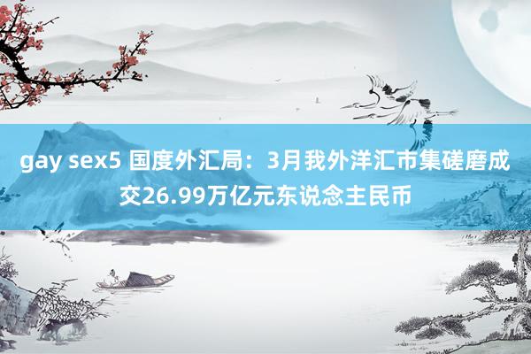 gay sex5 国度外汇局：3月我外洋汇市集磋磨成交26.99万亿元东说念主民币
